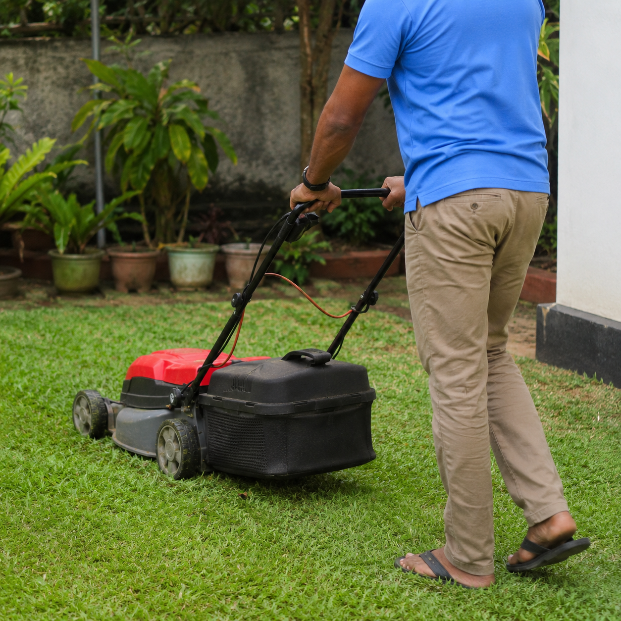 Root Guard staff member providing home care service
